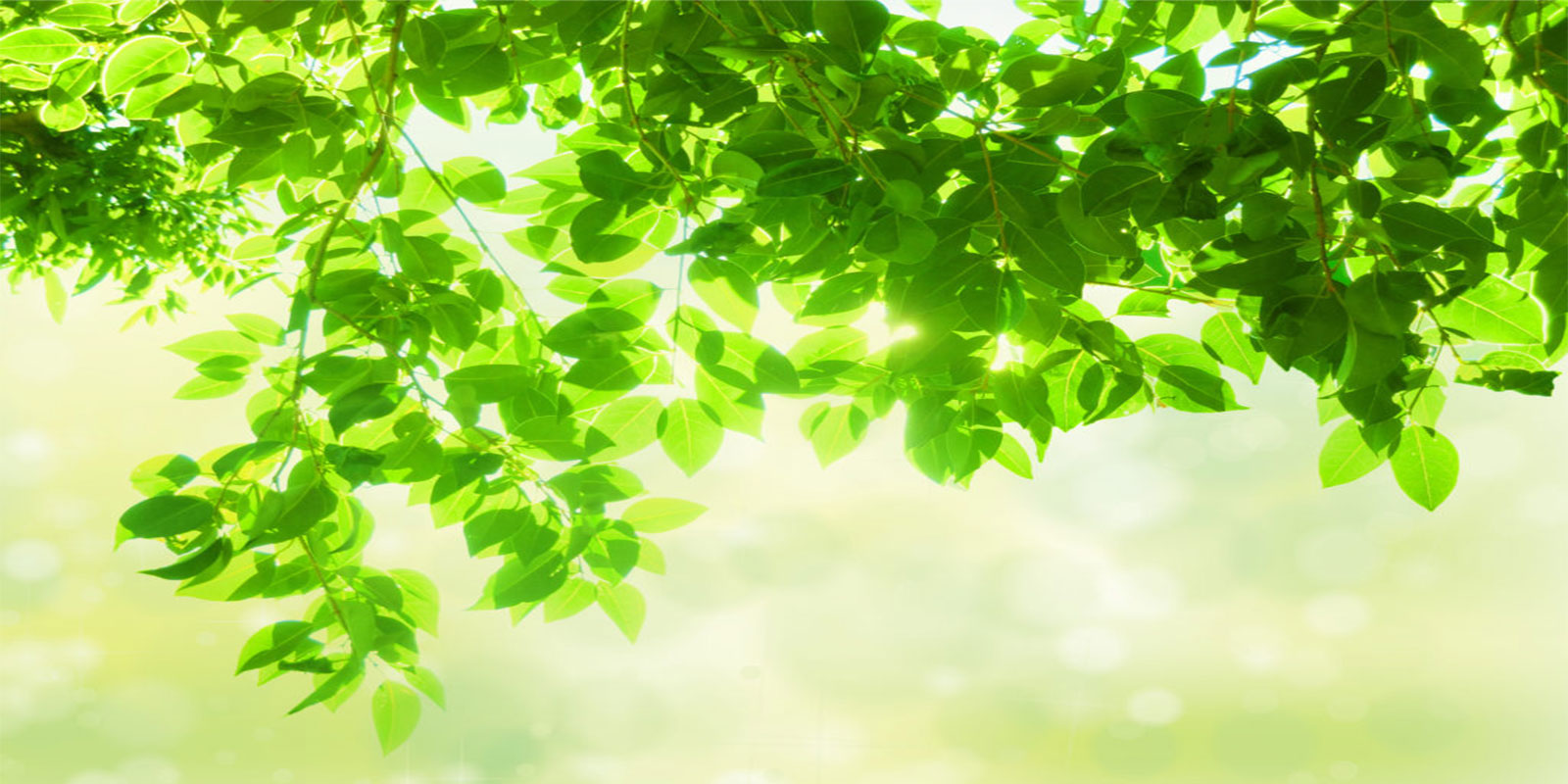 リンクを付けた画像もスライド可能